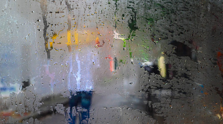 A Hundred Raindrops: Beautiful Photo Series By Jayeeta Ghosh