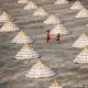 Drying The Paddy In The Sunlight Chatal By Rayhan Ahmed