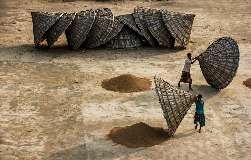 Drying The Paddy In The Sunlight Chatal By Rayhan Ahmed