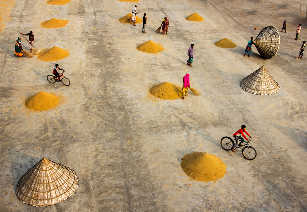 Drying The Paddy In The Sunlight Chatal By Rayhan Ahmed