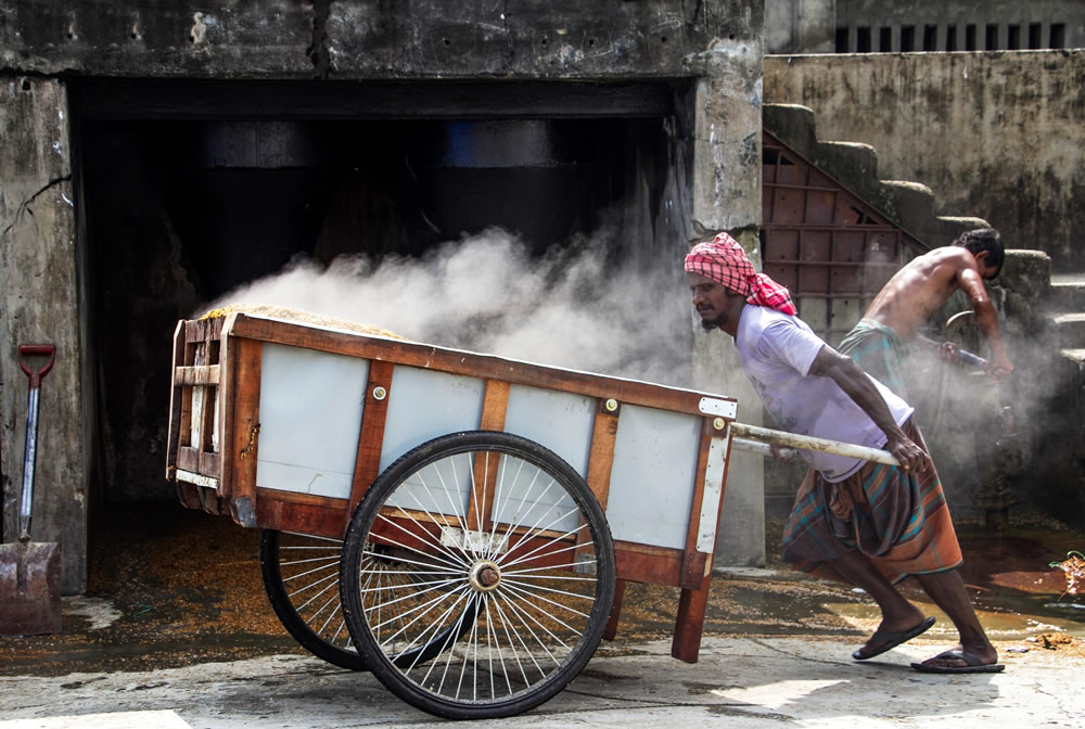 Drying The Paddy In The Sunlight Chatal By Rayhan Ahmed