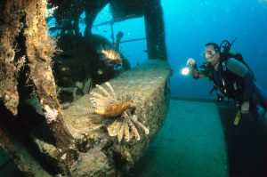 Nemo Beads, Croatia