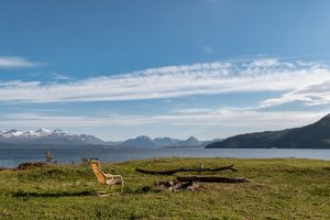 Trond Strand, Great Britain (UK)