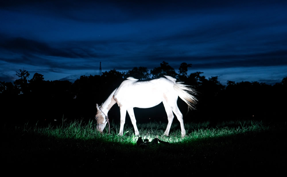 My Personal Best: Indian Street Photographer Rohit Das