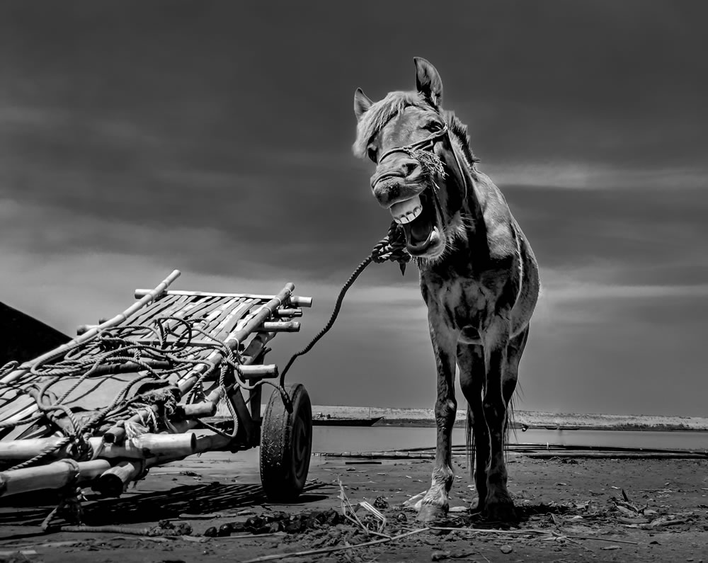 The Untold Story Of Jamuna River By Irfan Iftisham Provash