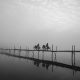 A Tale Of A Bamboo Bridge: Photo Series By Dipak Ray