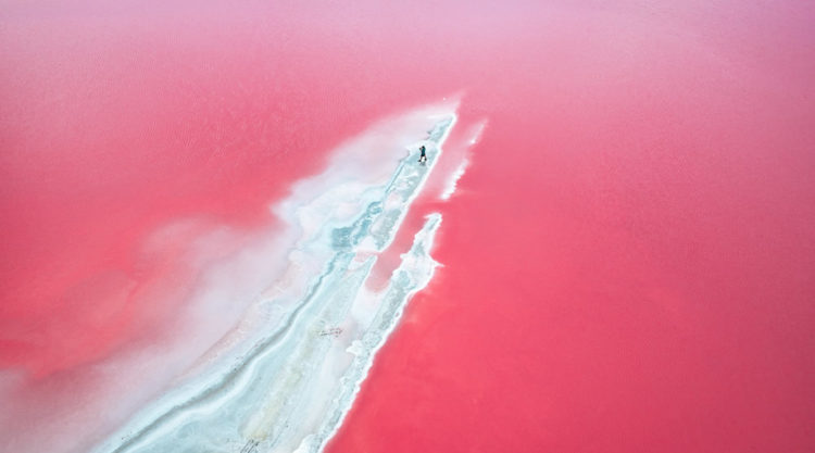 Dunaliella Salina In Camargue, France: Beautifully Captured By Paolo Pettigiani