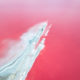 Dunaliella Salina In Camargue, France: Beautifully Captured By Paolo Pettigiani