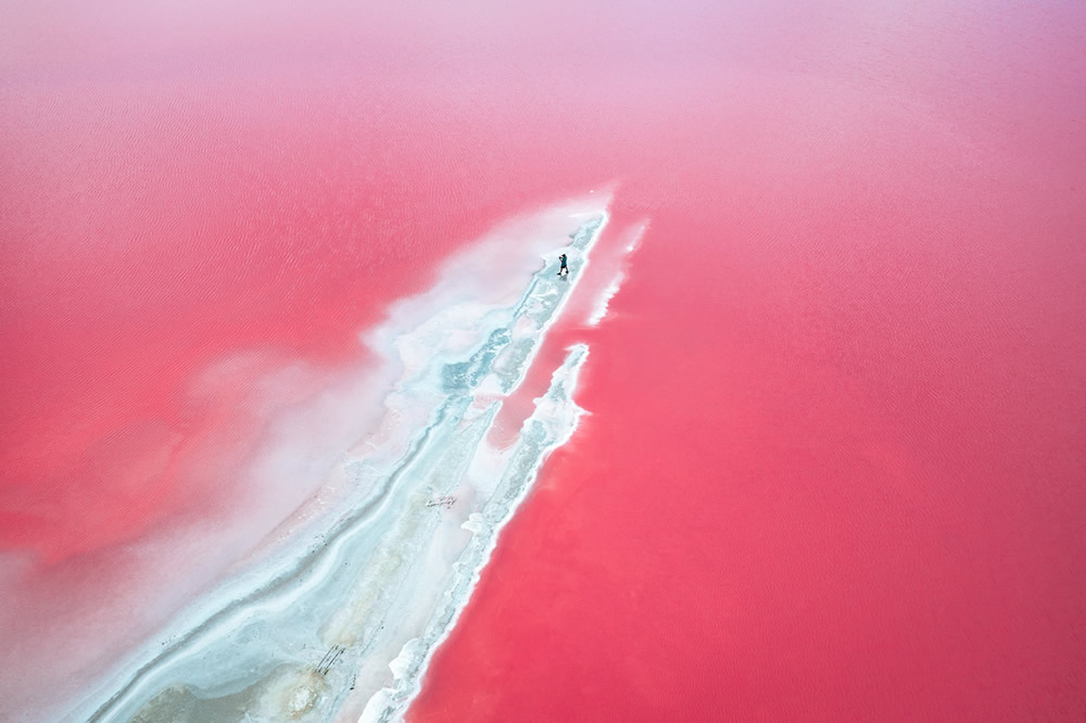 Dunaliella Salina In Camargue, France: Beautifully Captured By Paolo Pettigiani