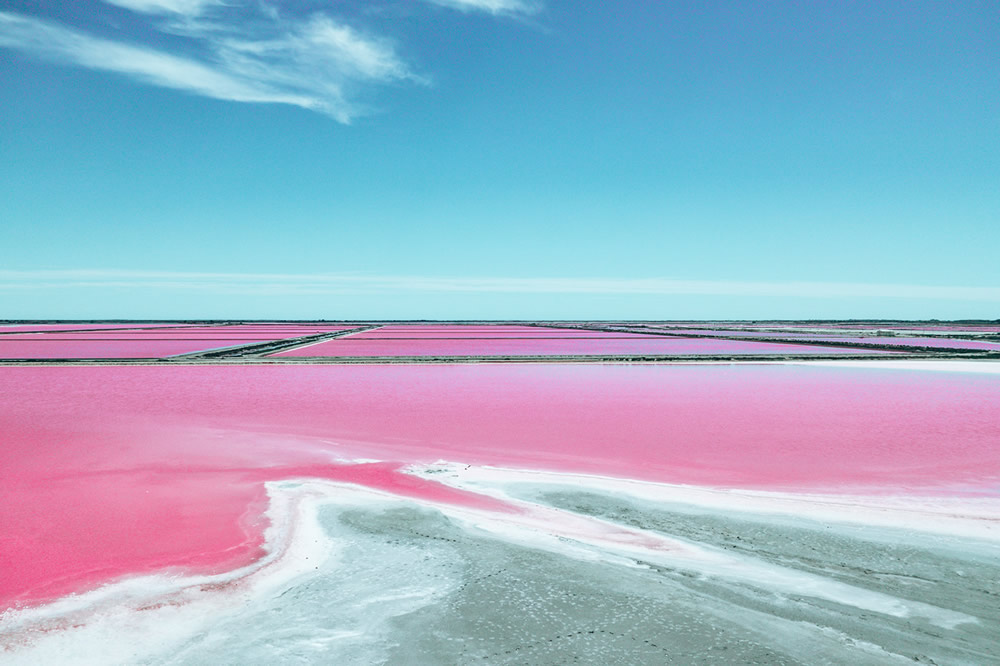 Dunaliella Salina In Camargue, France: Beautifully Captured By Paolo Pettigiani