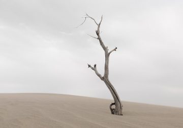 The Fragment Of Travel Beautiful Landscape Photography By Li Ye