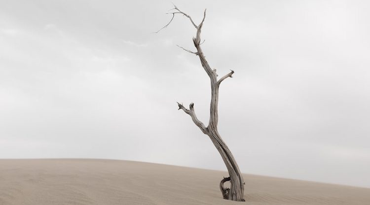 The Fragment Of Travel Beautiful Landscape Photography By Li Ye