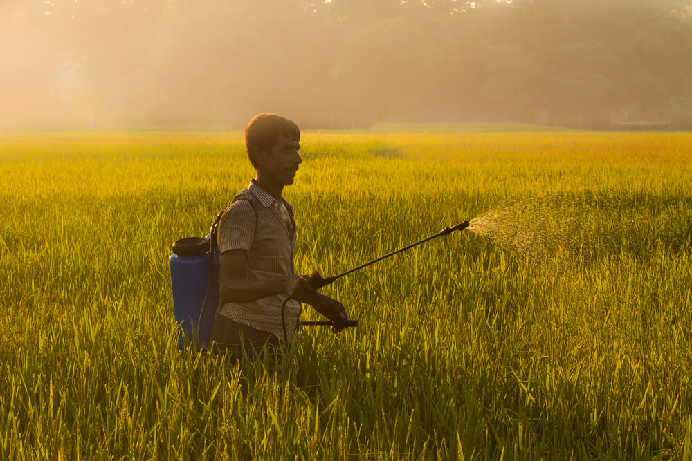 y Personal Best: Bangladeshi Photographer Jubair Bin Iqbal