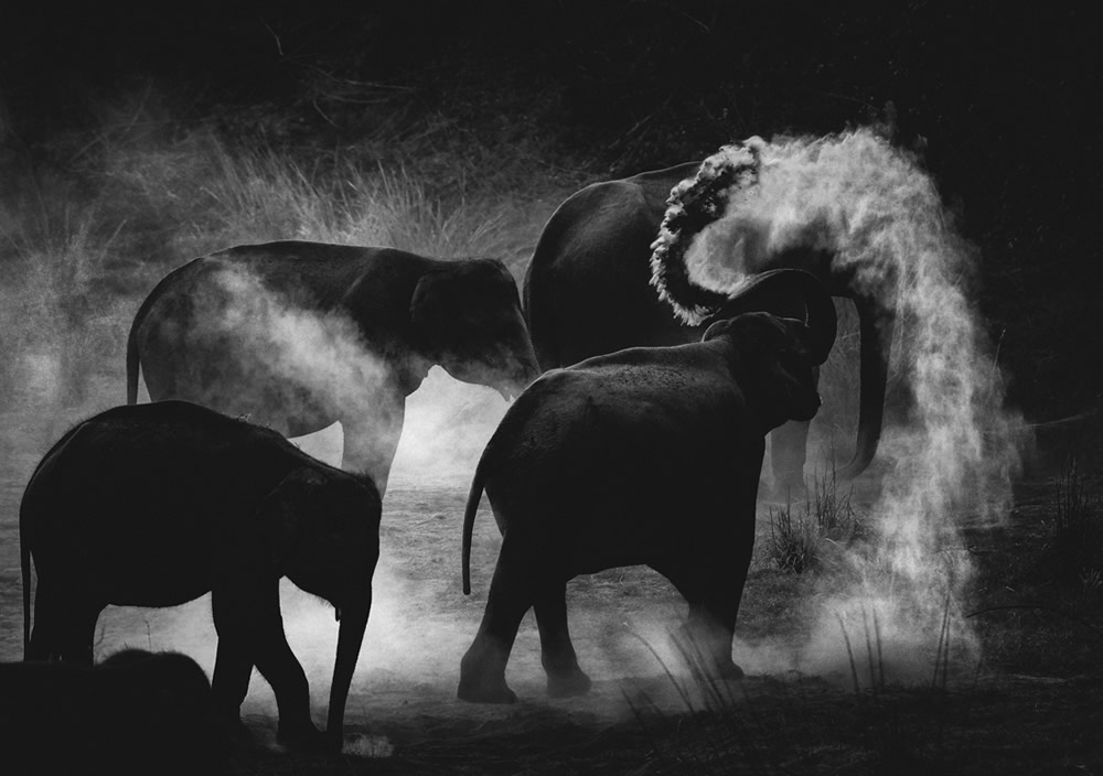 Winners of Black and White Monovisions Photography Awards