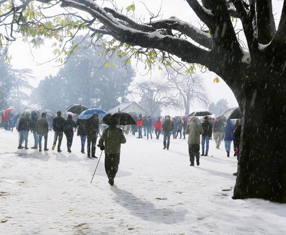 Umbrellas: Inseparable Companions By Chanda Mathur