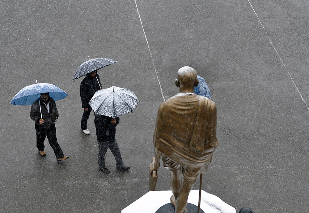 Umbrellas: Inseparable Companions By Chanda Mathur