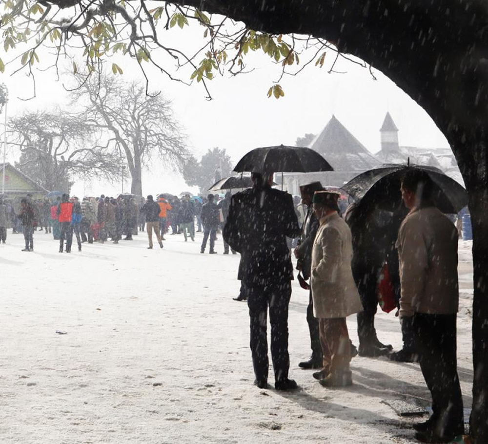 Umbrellas: Inseparable Companions By Chanda Mathur