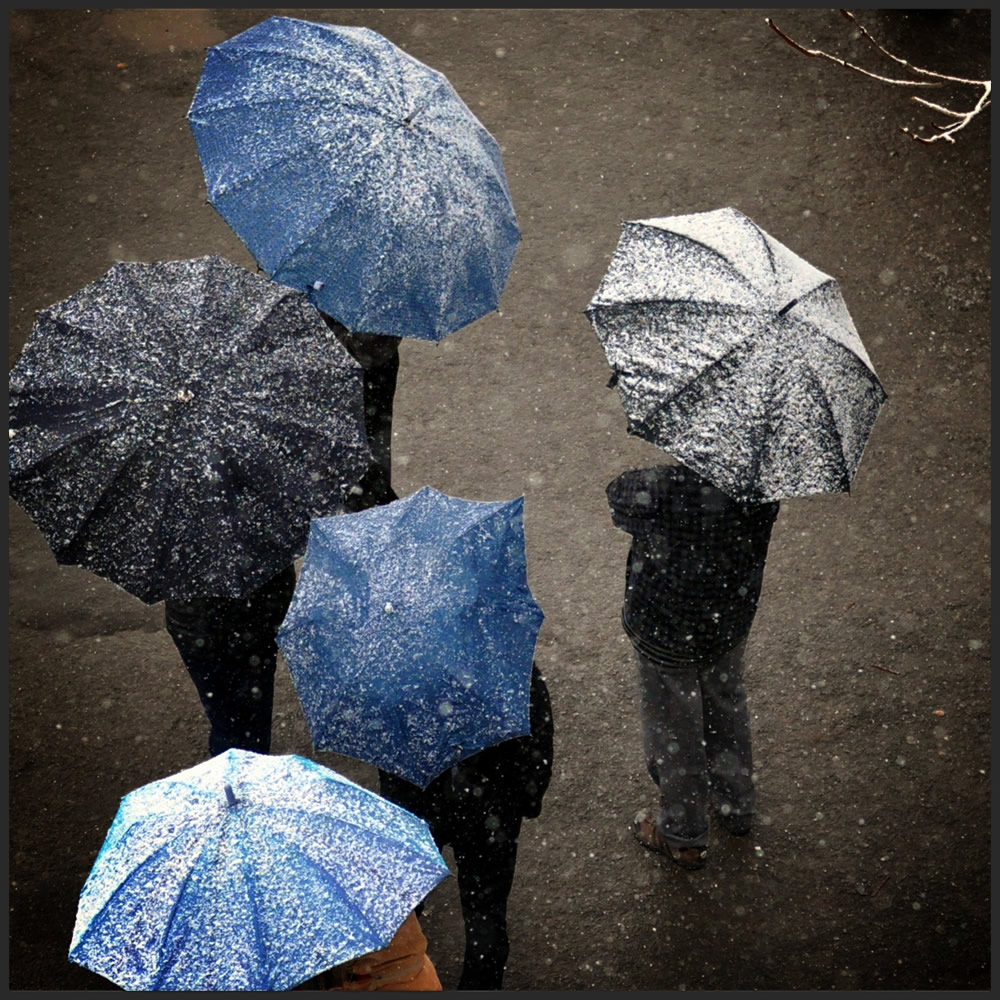 Umbrellas: Inseparable Companions By Chanda Mathur