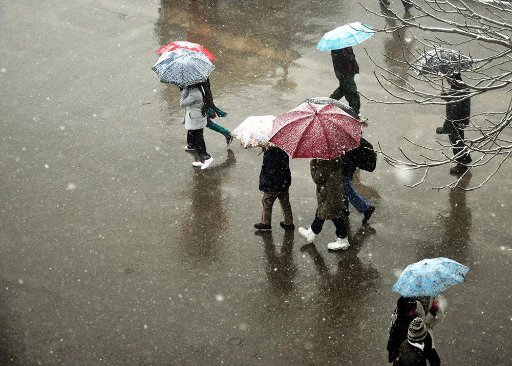 Umbrellas: Inseparable Companions By Chanda Mathur