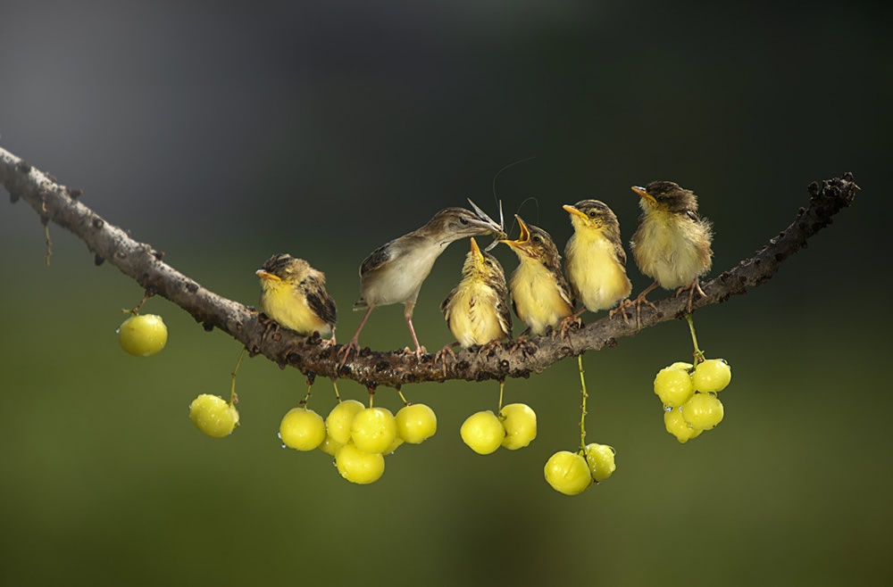 Our World Is Beautiful: 30 Amazing Winning Photos Of CEWE Photo Award 2021