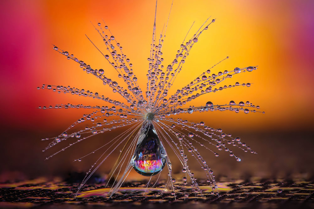 Our World Is Beautiful: 30 Amazing Winning Photos Of CEWE Photo Award 2021