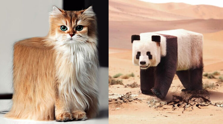 Digital Artist Aditya Aryanto Changes Animals To Be Shaped Like Cubes