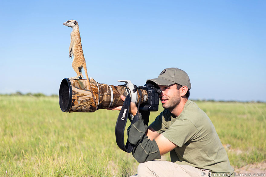 30 Cute Photos Of Animals That Want To Be Photographers