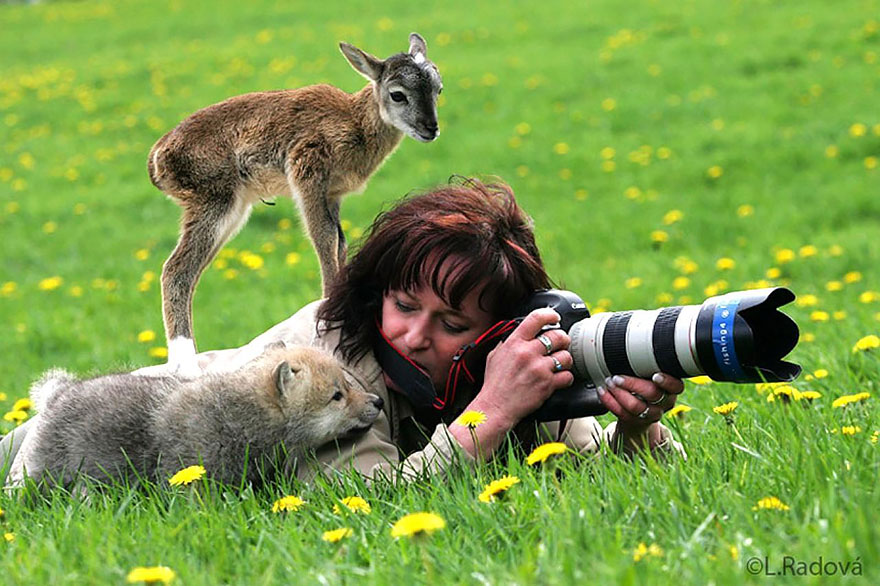 30 Cute Photos Of Animals That Want To Be Photographers