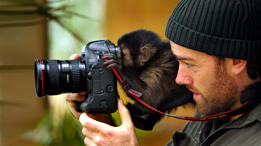 30 Cute Photos Of Animals That Want To Be Photographers