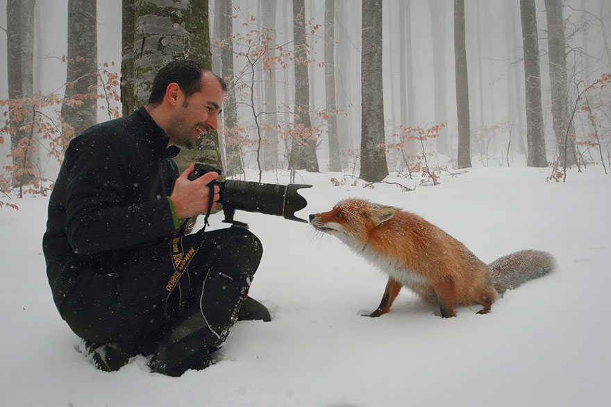 30 Cute Photos Of Animals That Want To Be Photographers