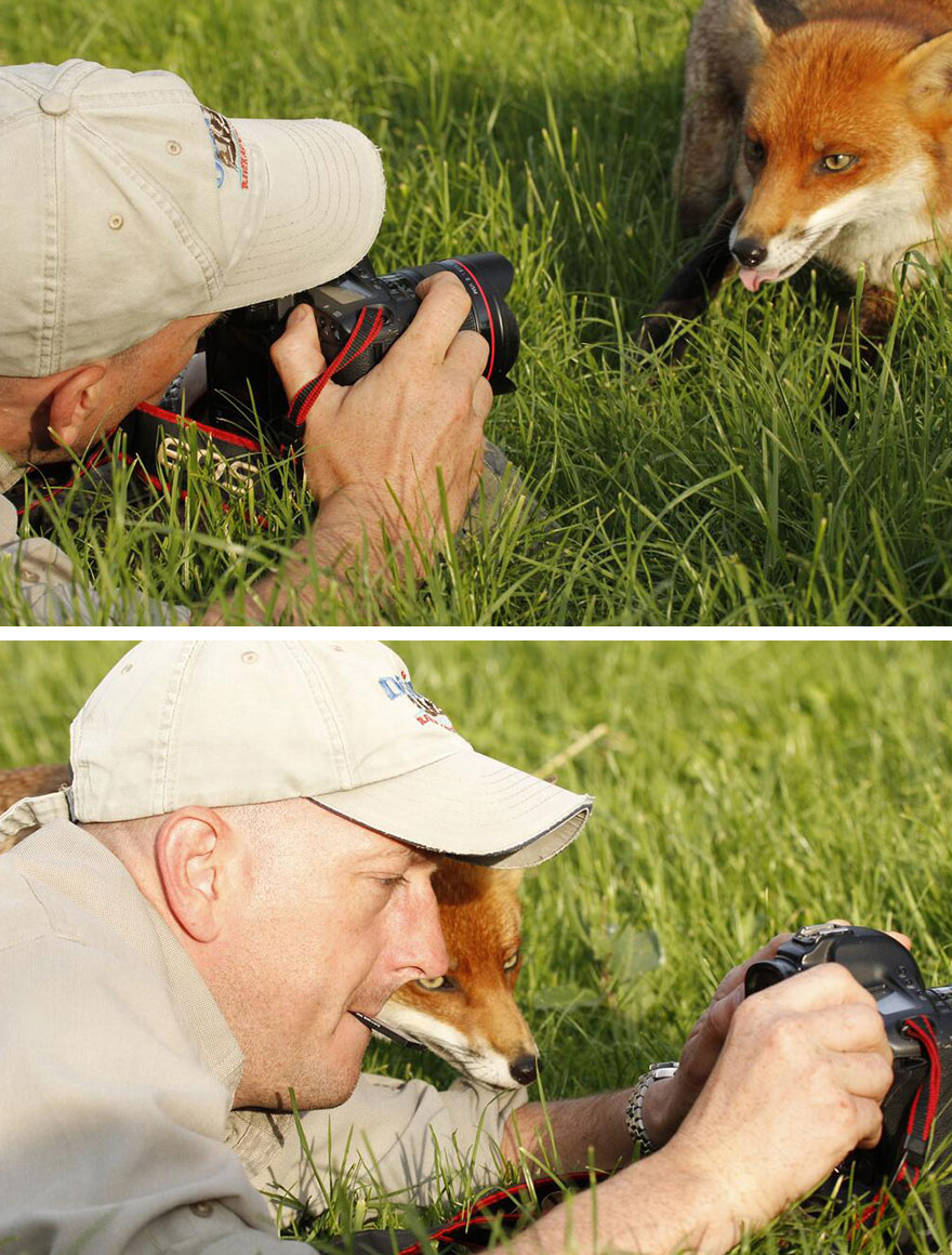 30 Cute Photos Of Animals That Want To Be Photographers