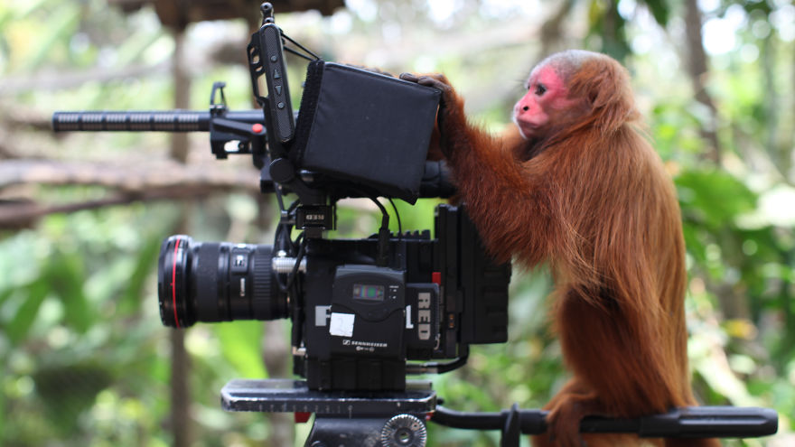 30 Cute Photos Of Animals That Want To Be Photographers