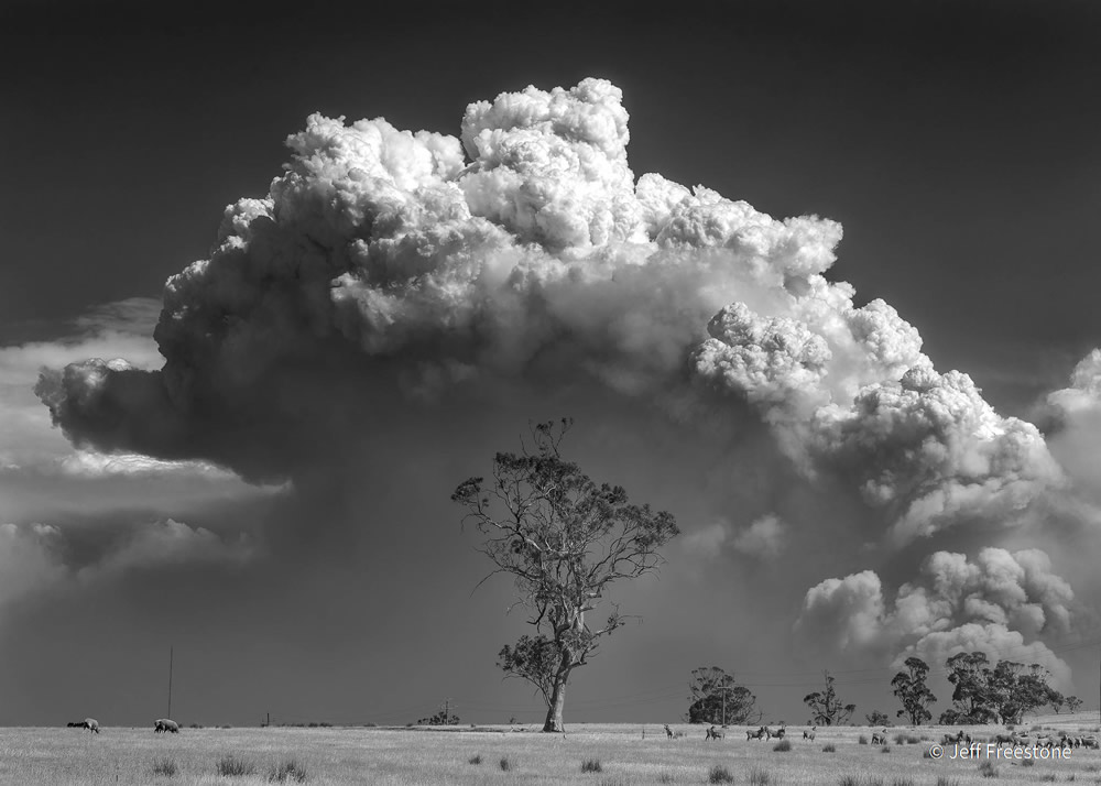 Stunning Photos Of Australian Geographic Nature Photographer of the Year