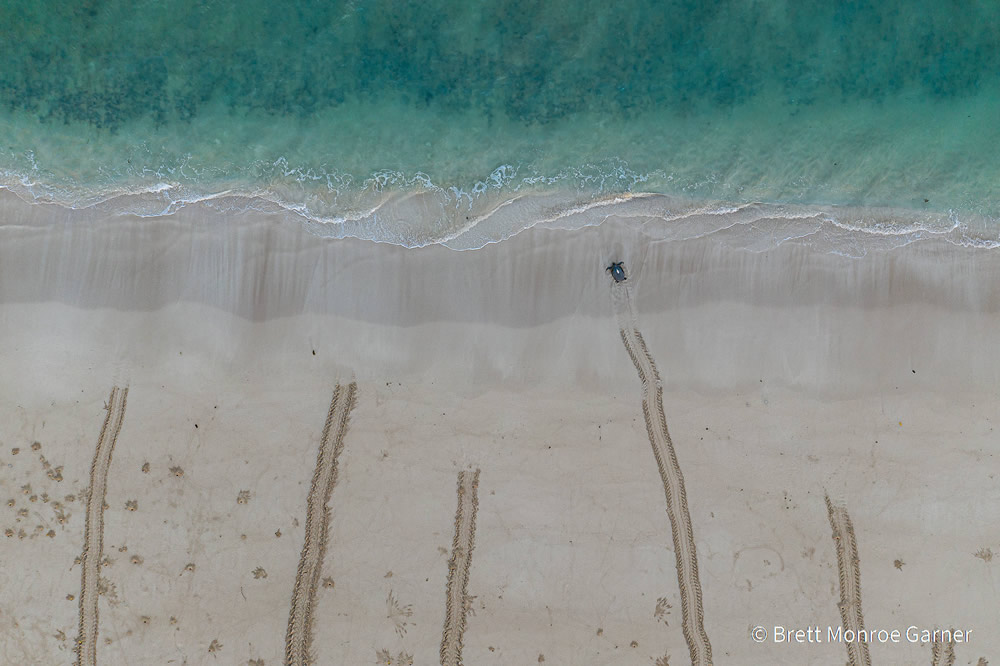 Stunning Photos Of Australian Geographic Nature Photographer of the Year