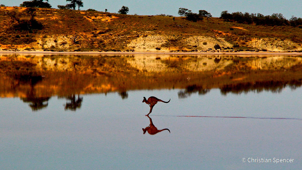 Stunning Photos Of Australian Geographic Nature Photographer of the Year