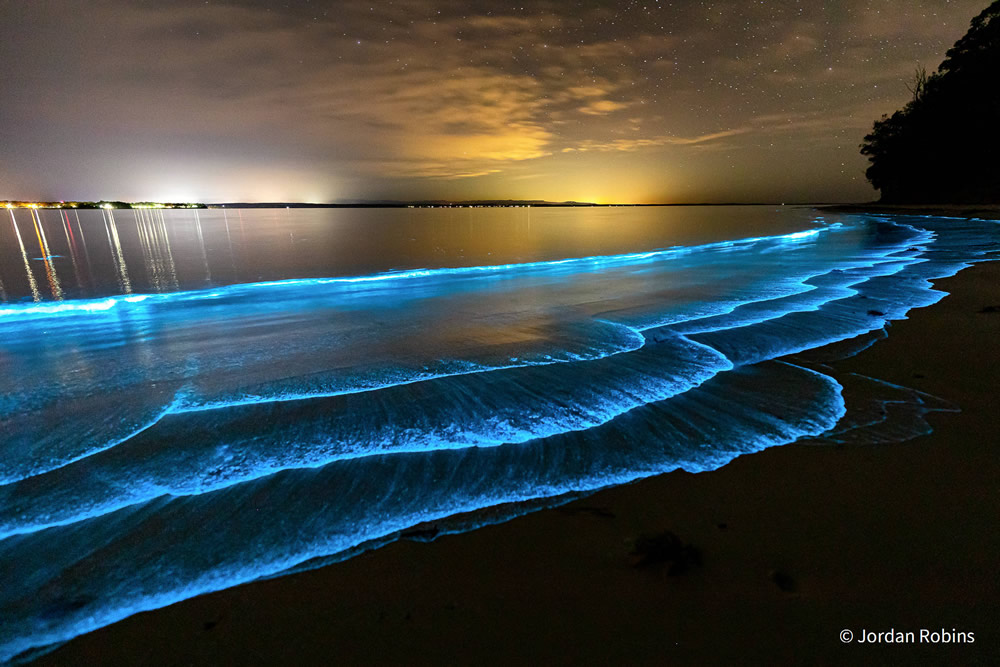 Stunning Photos Of Australian Geographic Nature Photographer of the Year