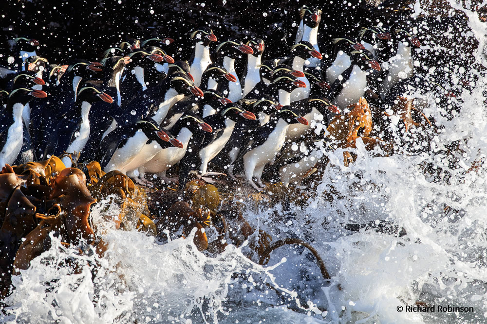 Stunning Photos Of Australian Geographic Nature Photographer of the Year