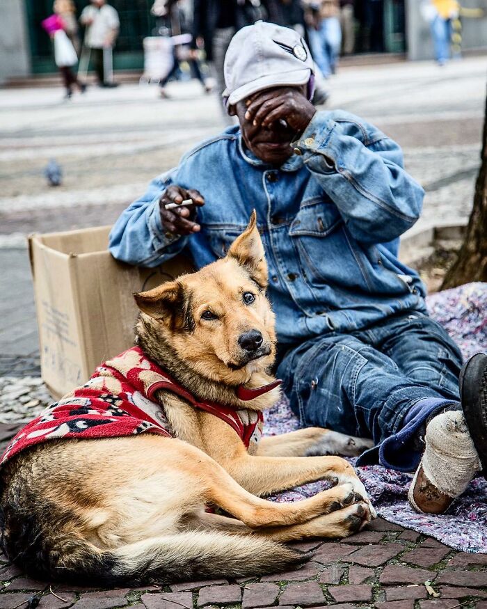 The Lives Of Homeless People And Their Dogs: 30 Touching Photographs From MRSC IG Page