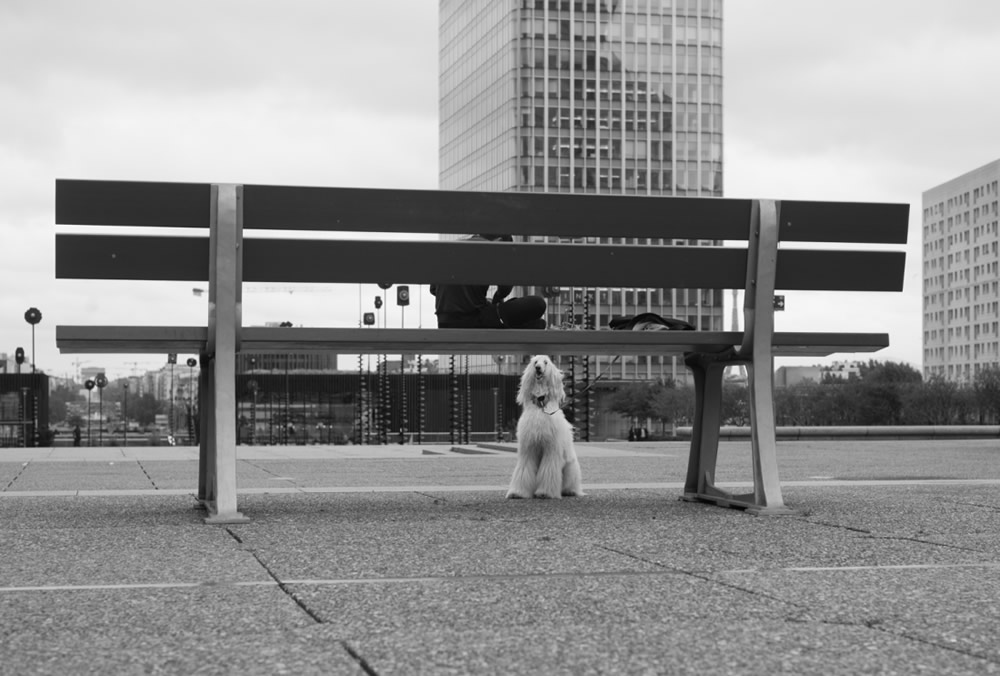 Back to la Défense: Photo Series By Adriana Ferrarese