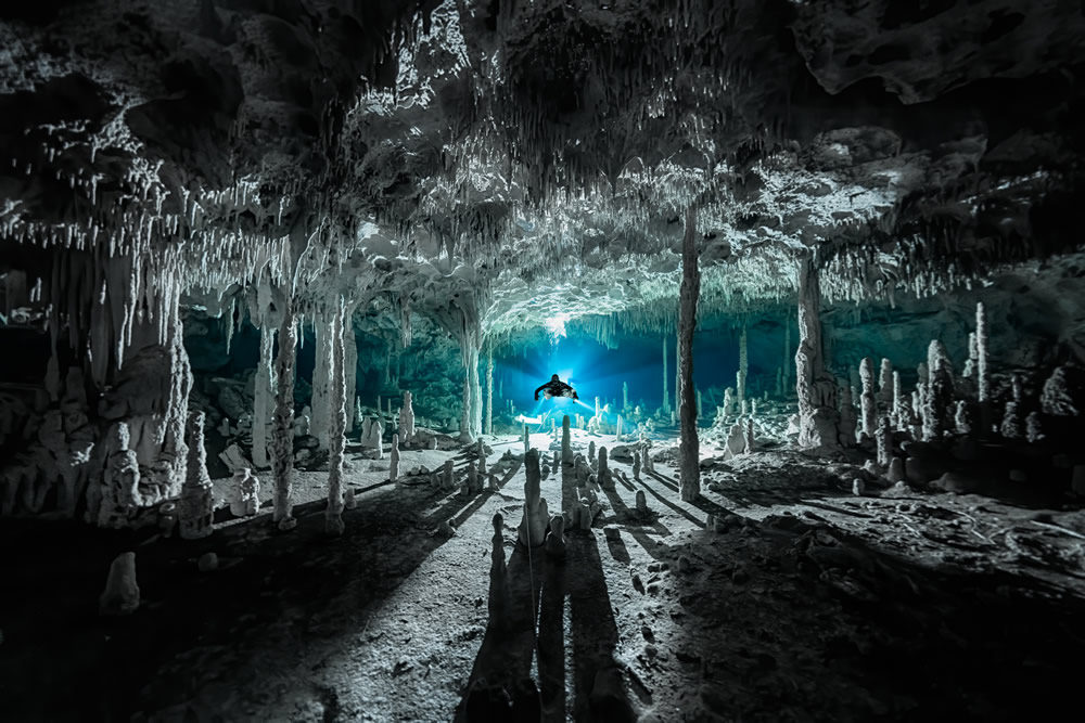 Amazing Winners Of Ocean Photography Awards 2021