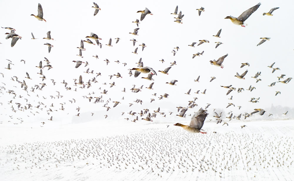 41 Stunning Winning Photos Of Siena Drone Photo Awards