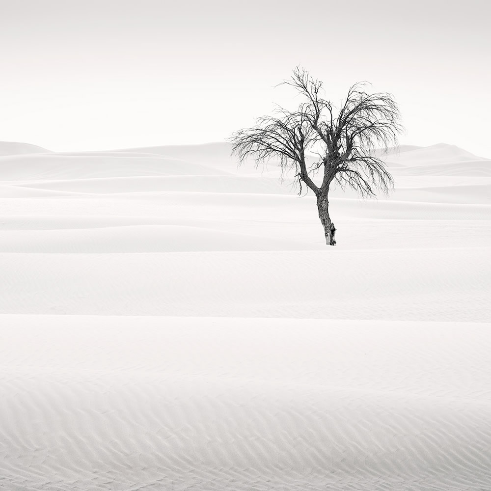 The Desert Portraits: Photographer Anthony Lamb Stunningly Captured The Arabian Desert