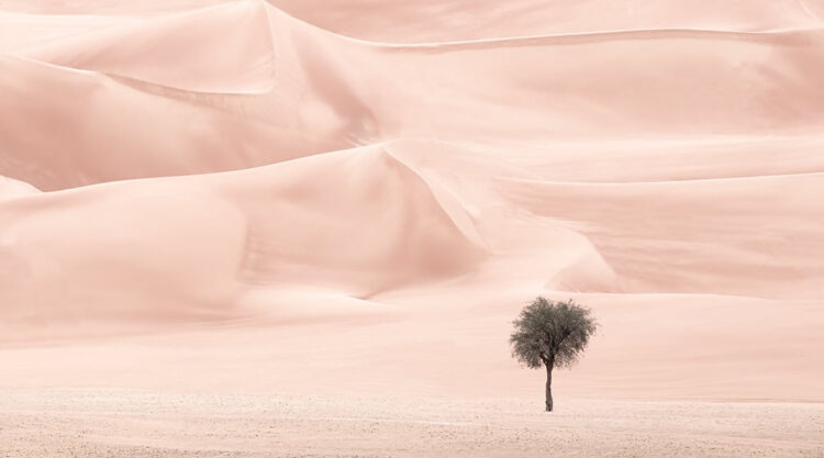 The Desert Portraits: Photographer Anthony Lamb Stunningly Captured The Arabian Desert