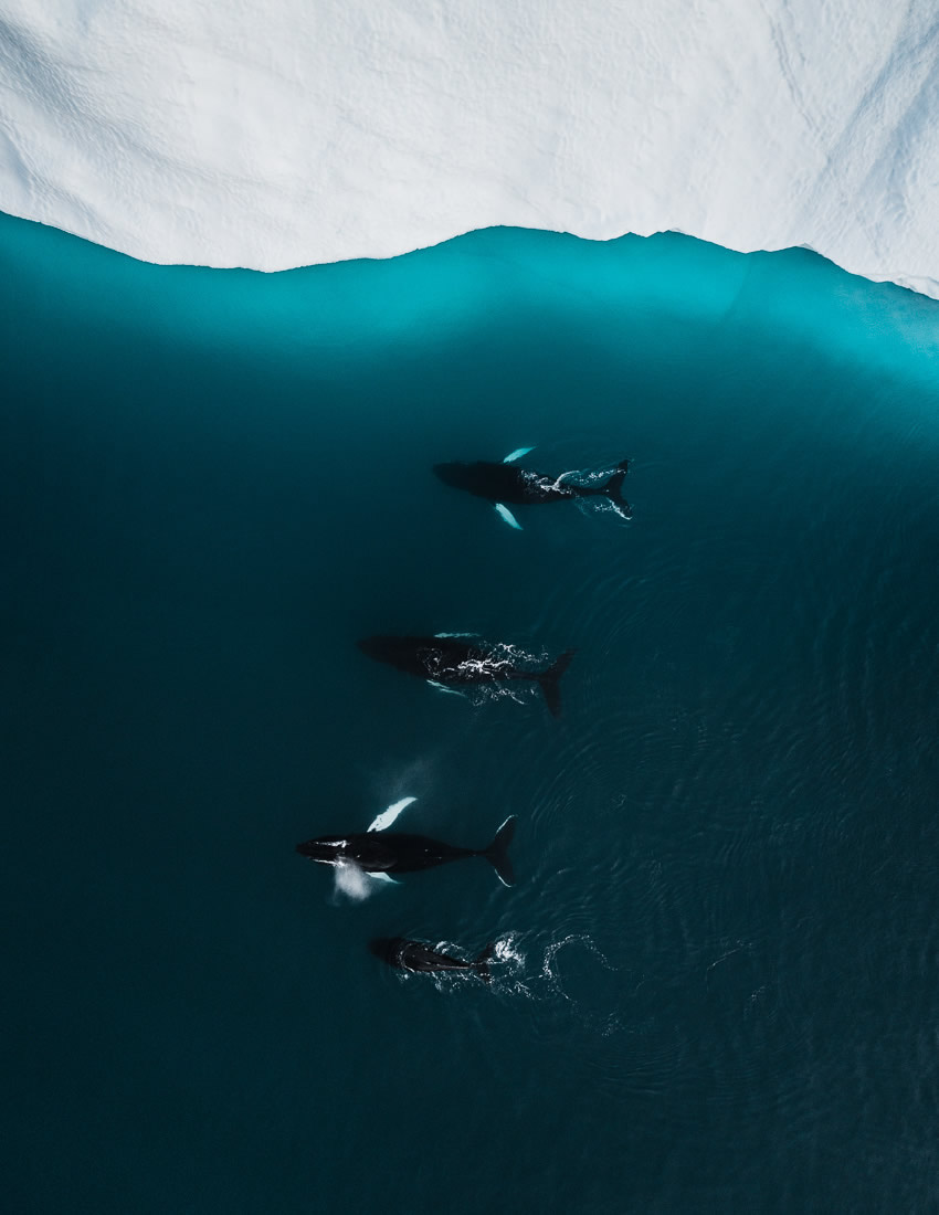 The Iceberg: Stunning Visuals Of West Coast Of Greenland By Tom Hegen