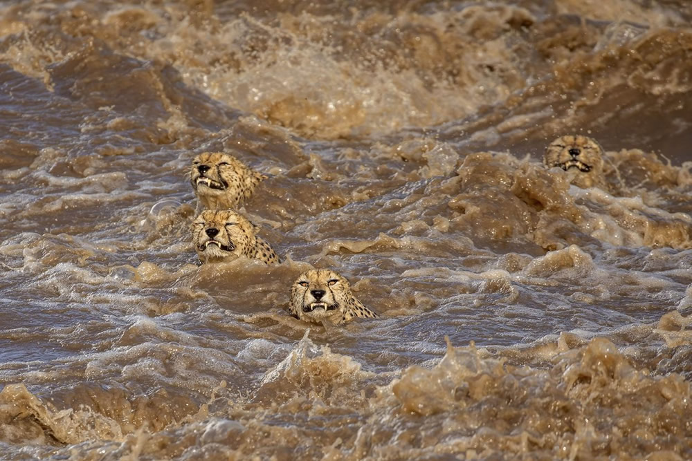 The Nature Conservancy Global Photo Contest Winners Of 2021