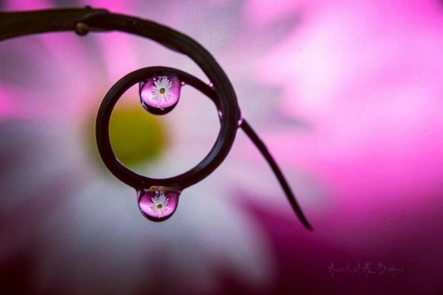 Water Droplet Techniques by Amthel Al-Dayni