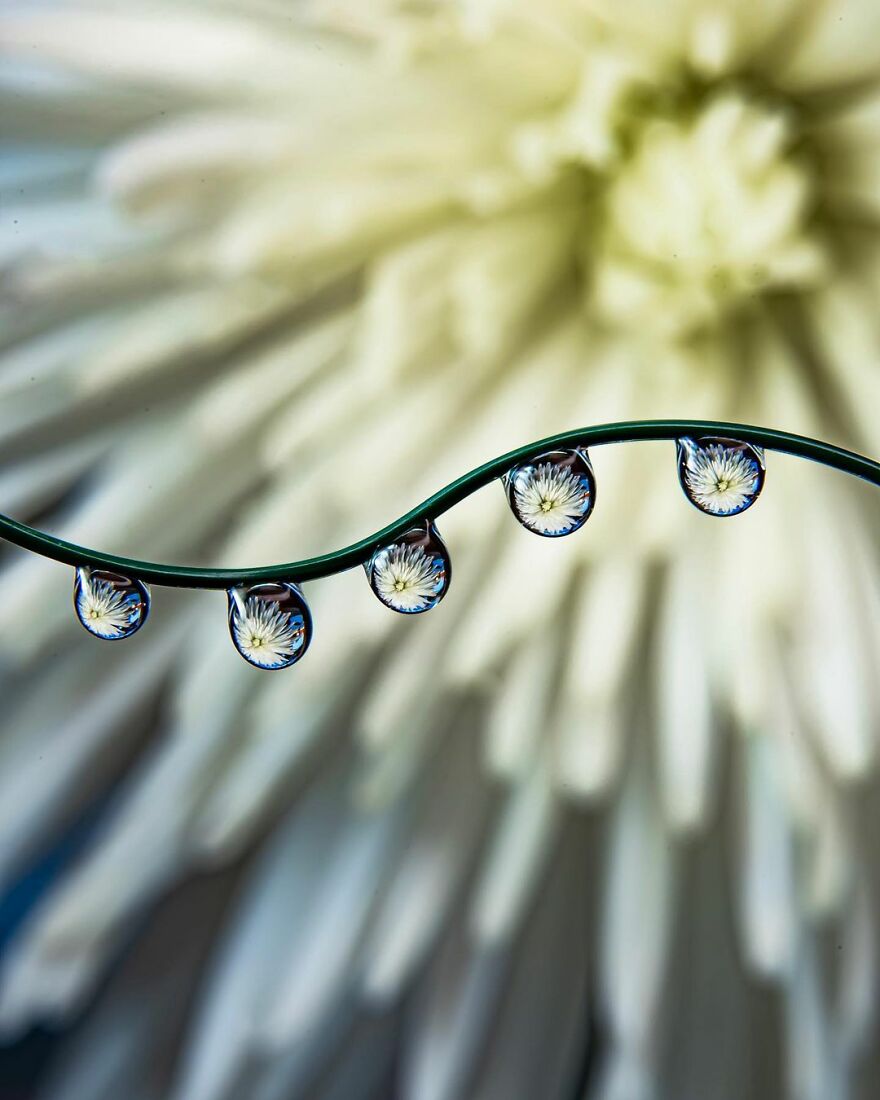 Water Droplet Techniques by Amthel Al-Dayni