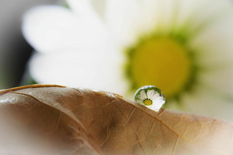 Water Droplet Techniques by Amthel Al-Dayni