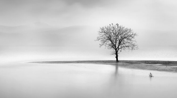 Whispers Of Silence: Peaceful Landscape Photographs By George Digalakis