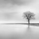 Whispers Of Silence: Peaceful Landscape Photographs By George Digalakis